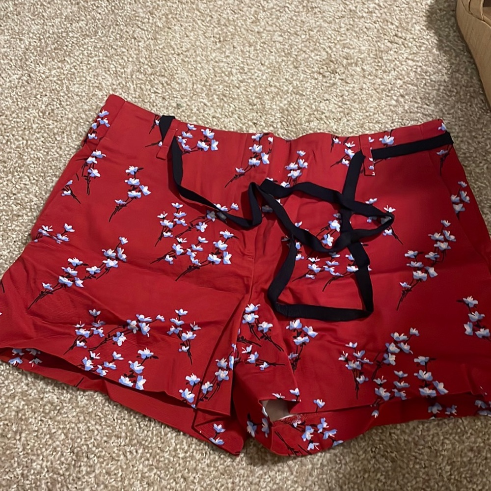 Anne Taylor Loft Shorts